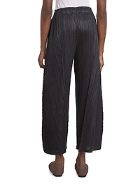 Thicker Pleated Pants