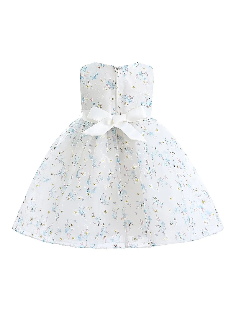 Baby Girl's Floral Print Bow Dress