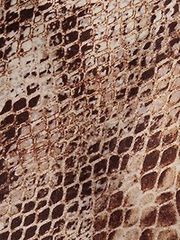 Sonya Snake Print Silk Bralette