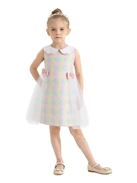 Little Girl's Spring Gingham Tulle Dress