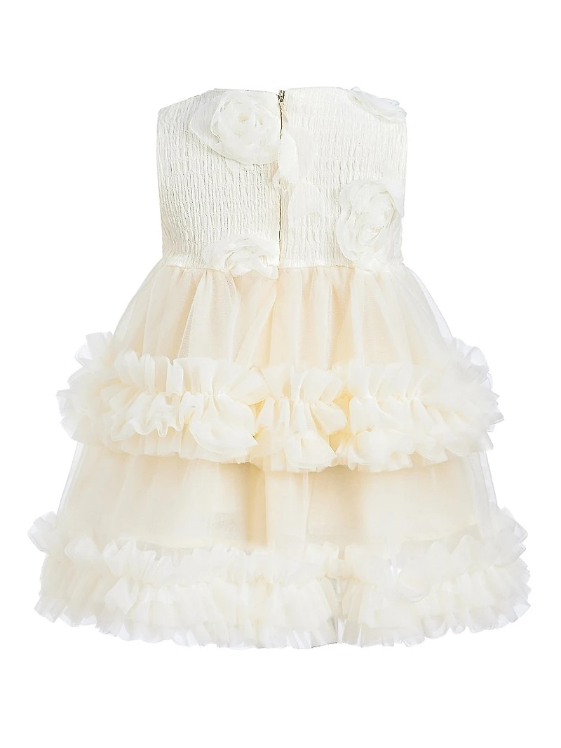 Baby Girl's Flower Layered Tulle Dress