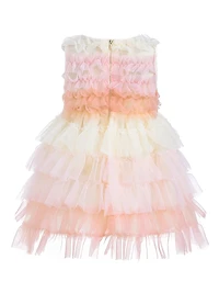 Baby Girl's Ruffle Layered Tulle Dress
