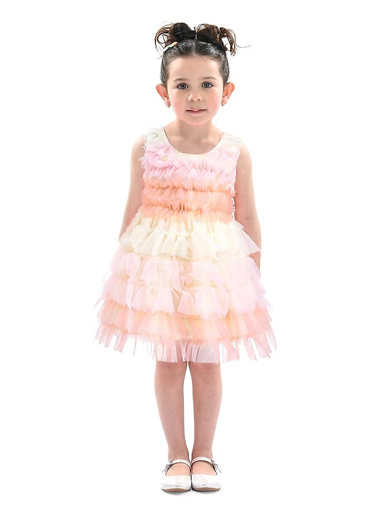 Baby Girl's Ruffle Layered Tulle Dress