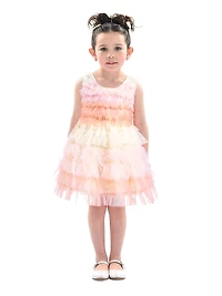 Baby Girl's Ruffle Layered Tulle Dress