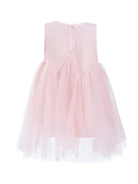 Little Girl's Rose Ribbon Dress