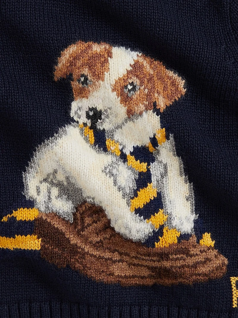 Baby Boy's Dog Crewneck Sweater