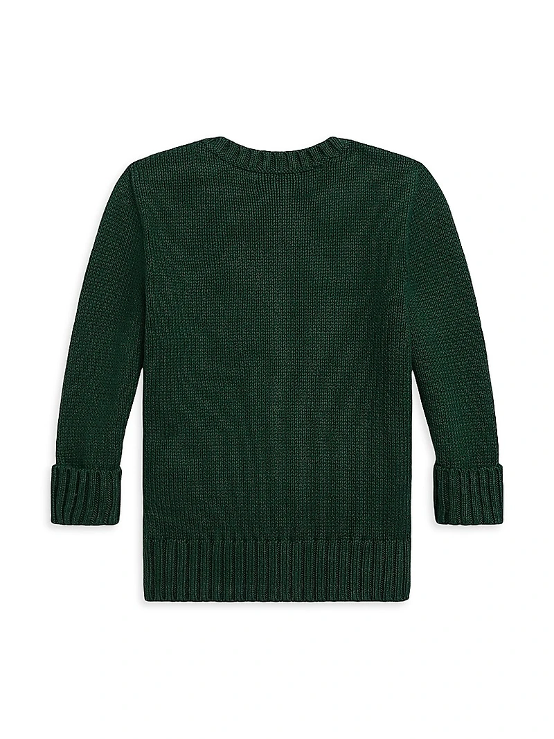 Baby Boy's Polo Bear Crewneck Sweater