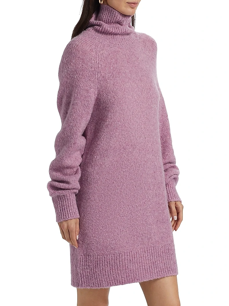 Lena Turtleneck Minidress