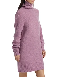 Lena Turtleneck Minidress
