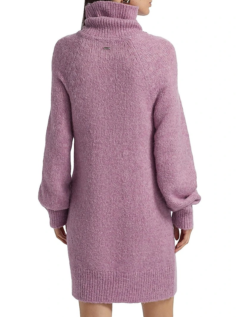 Lena Turtleneck Minidress
