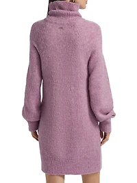 Lena Turtleneck Minidress