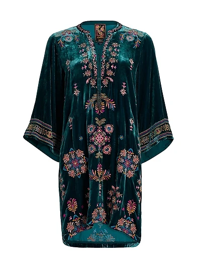 Brandi Embroidered Velvet Dress