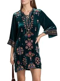 Brandi Embroidered Velvet Dress