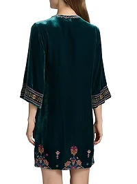 Brandi Embroidered Velvet Dress