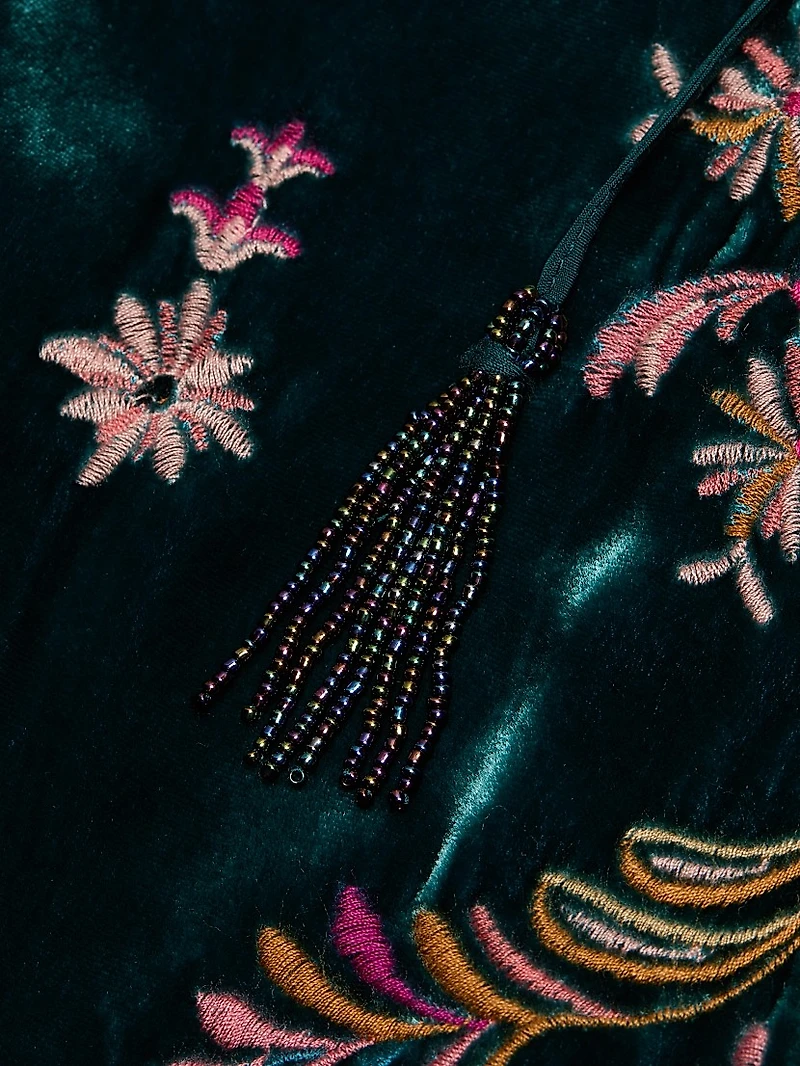 Brandi Embroidered Velvet Dress