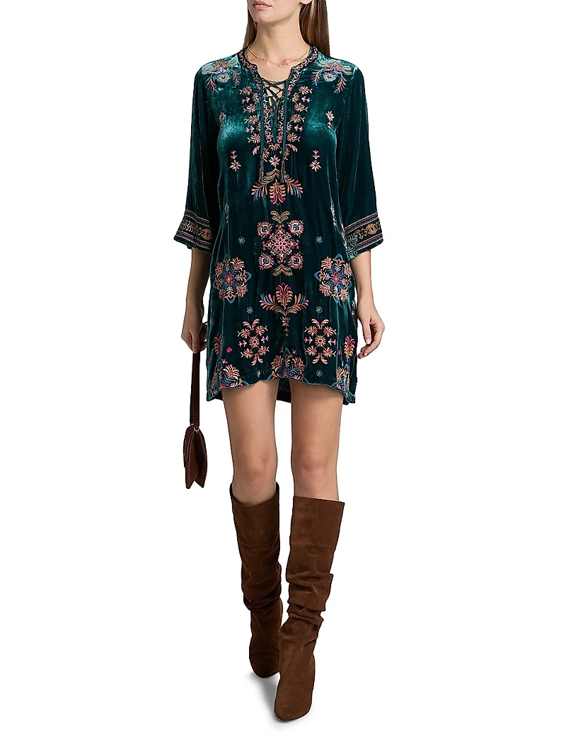 Brandi Embroidered Velvet Dress