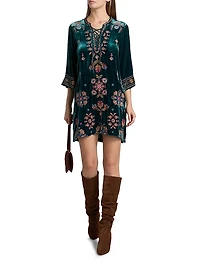 Brandi Embroidered Velvet Dress