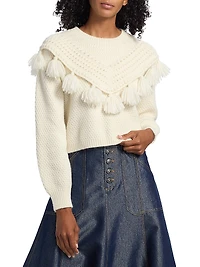 Mariali Knit Alpaca-Blend Pullover Sweater