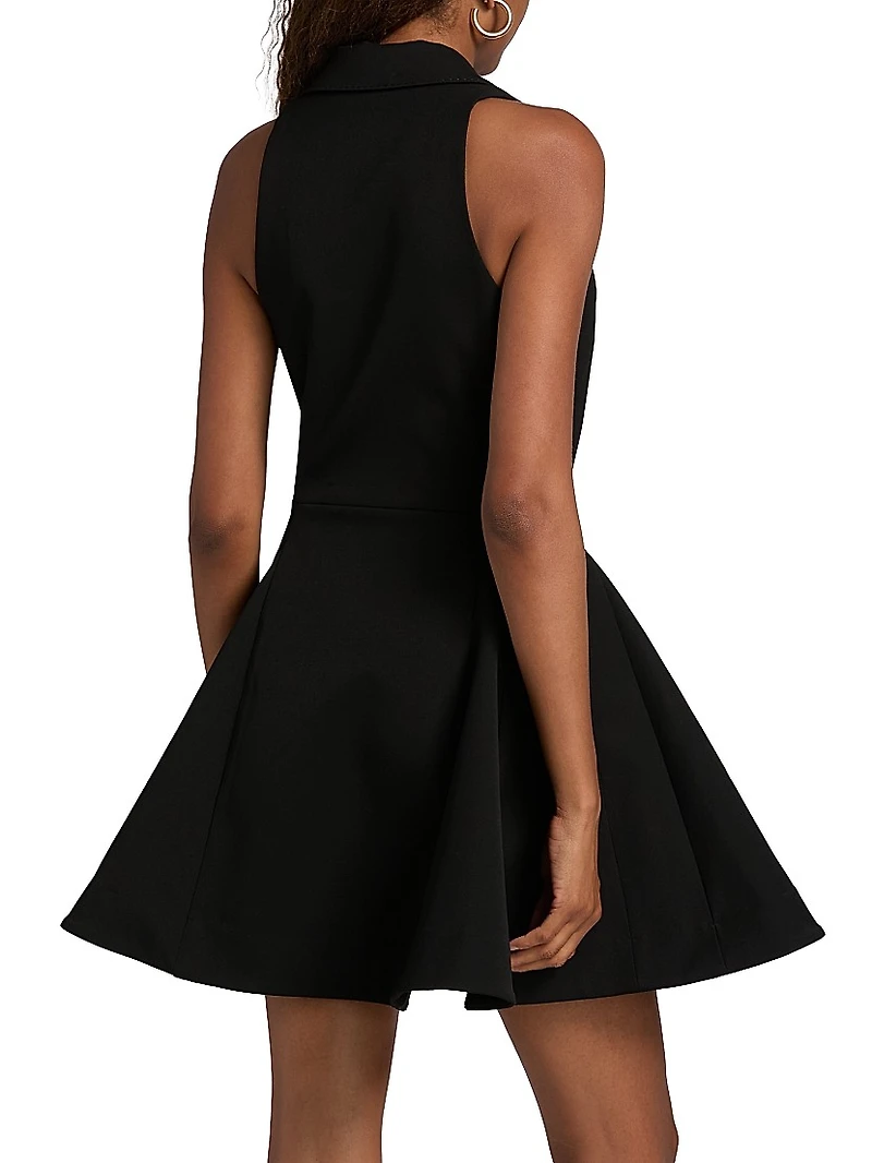 Royalty Fit & Flare Minidress