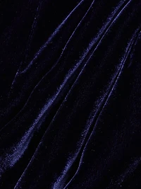 Ashton Velvet Shorts