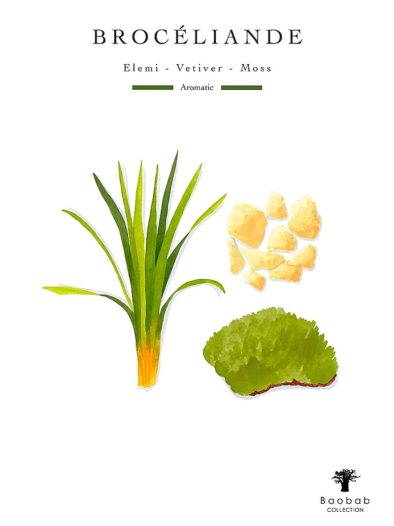 Woods Broceliande Scented Candle