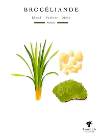 Woods Broceliande Scented Candle