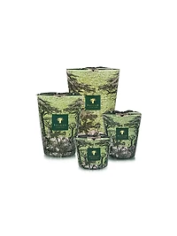 Sacred Trees Touba Scented Candle