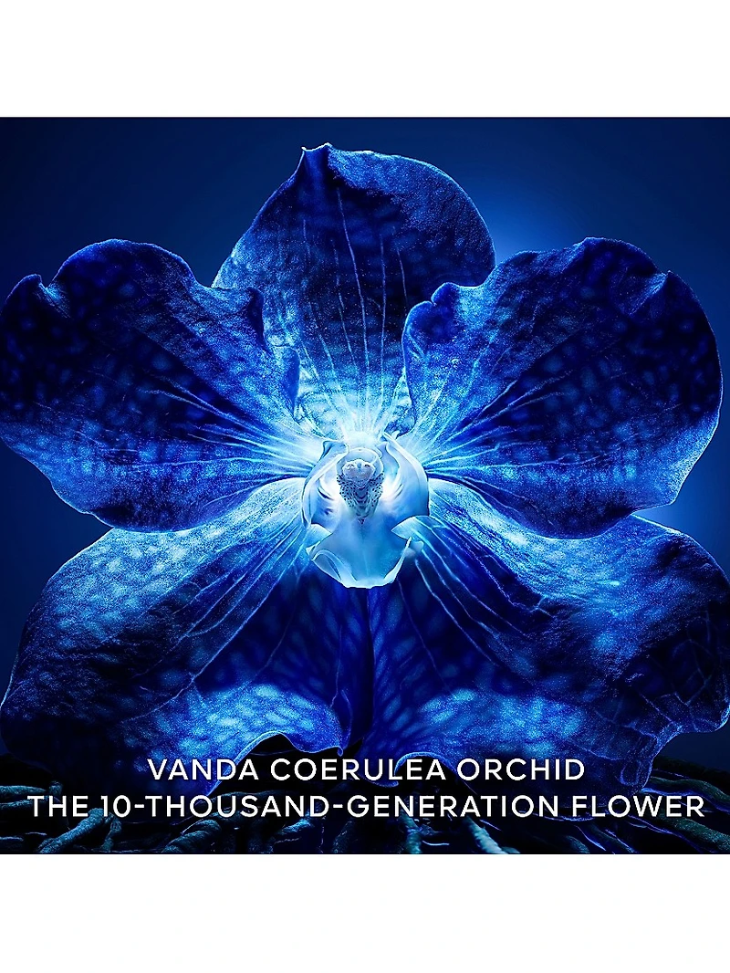 Orchidée Impériale The Longevity Cream