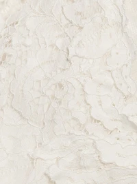 Rubiana Lace Cocktail Minidress