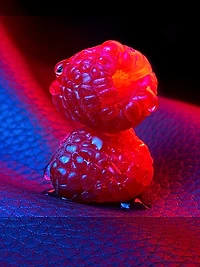 Cuir Infrarouge Extrait de Parfum