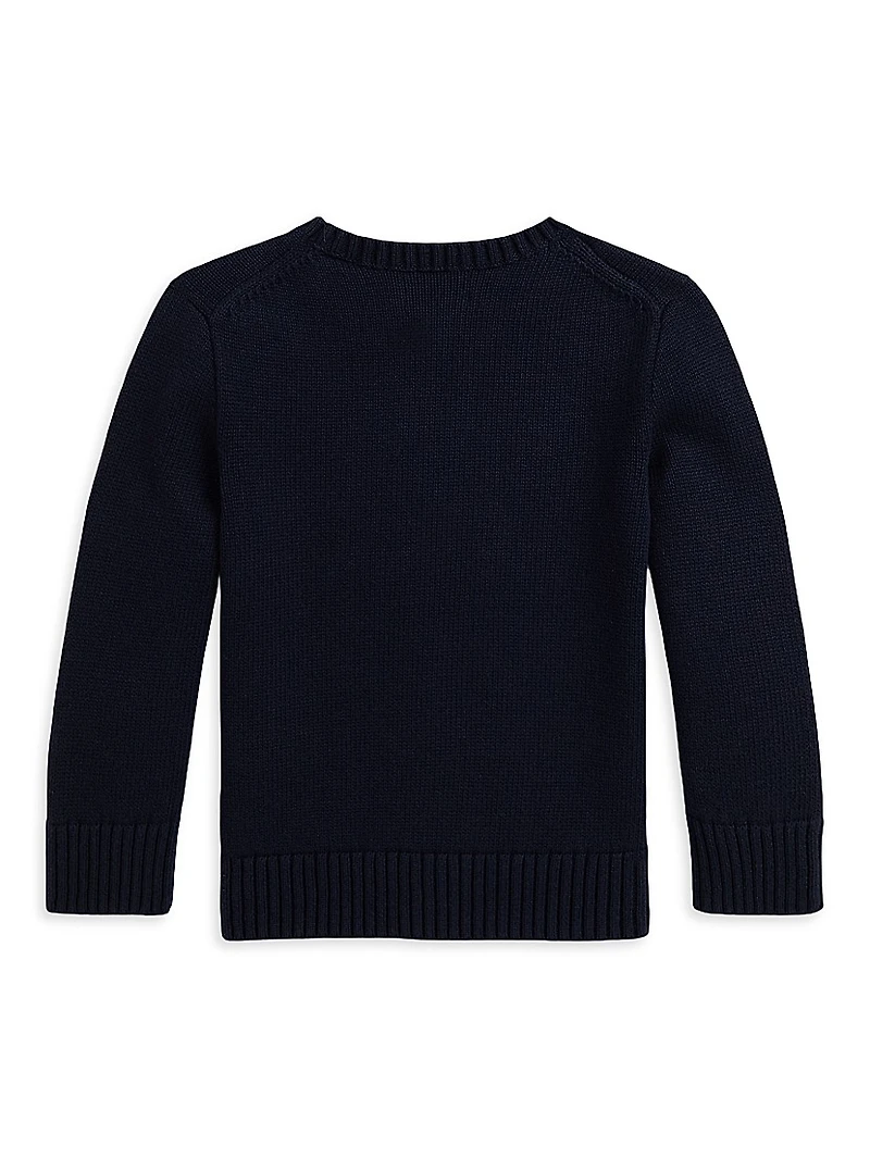 Little Boy's & Dog Intarsia Crewneck Sweater