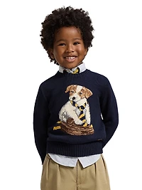 Little Boy's & Dog Intarsia Crewneck Sweater