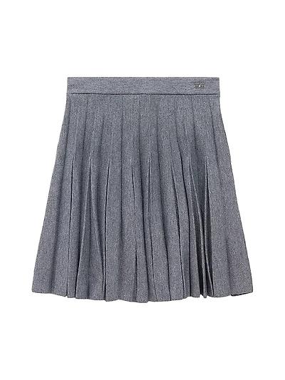 Pleated Skirt