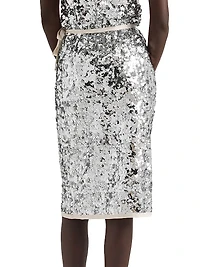 Embroidered Sequin Skirt