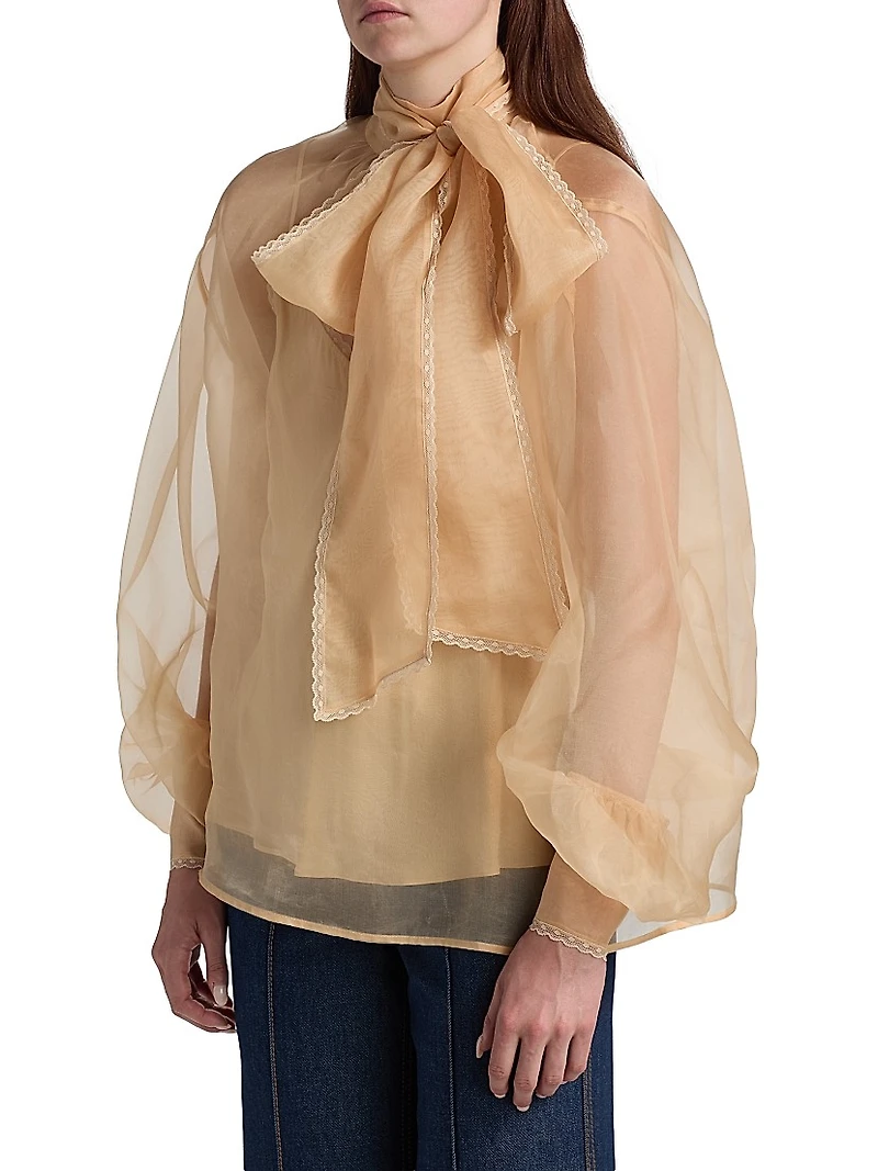 Memento Embroidered Silk Organza Blouse