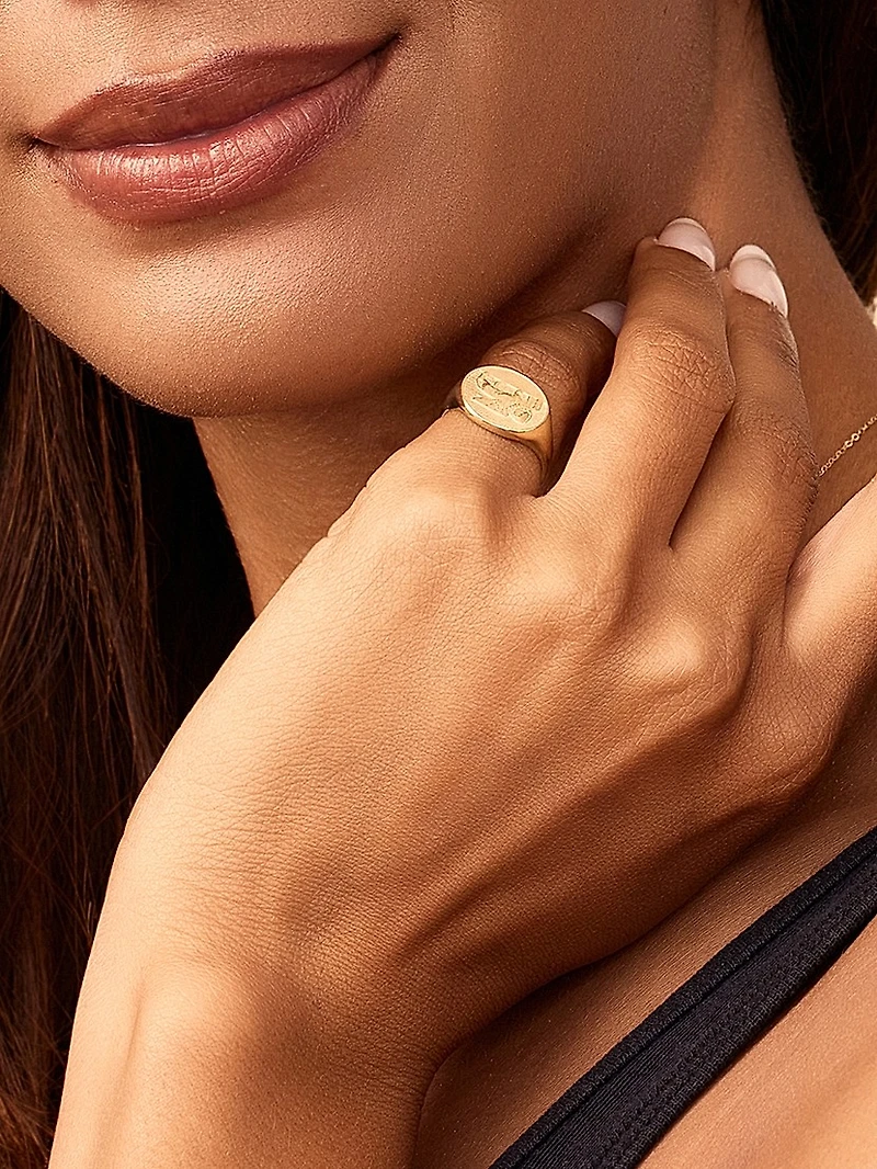 14K Yellow Gold Flying Lion Signet Ring