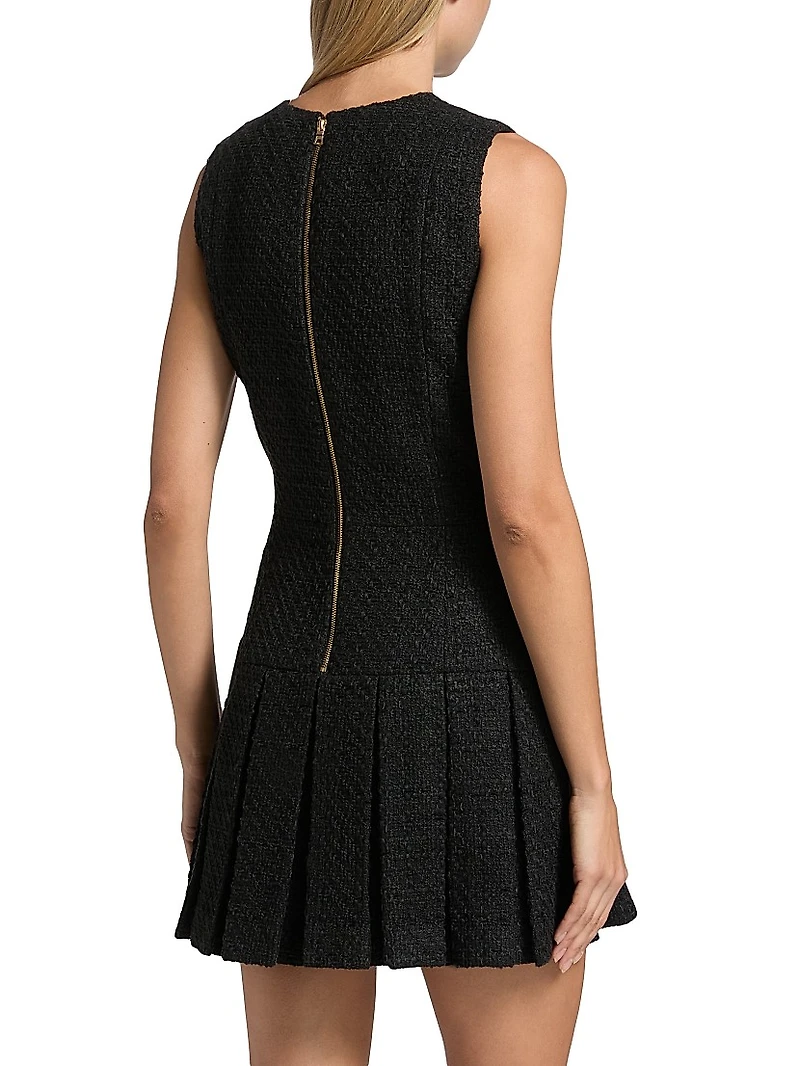 Ellis Pleated Drop-Waist Minidress