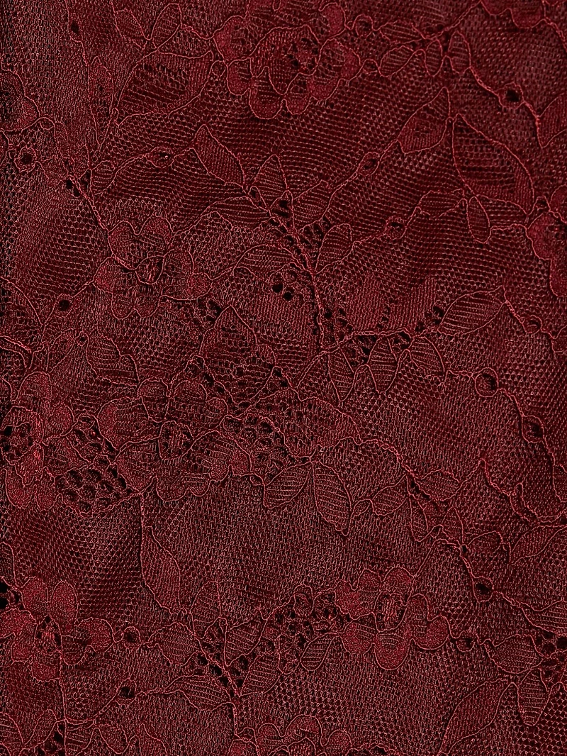 Taeyn Lace Bodysuit