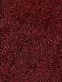 Taeyn Lace Bodysuit