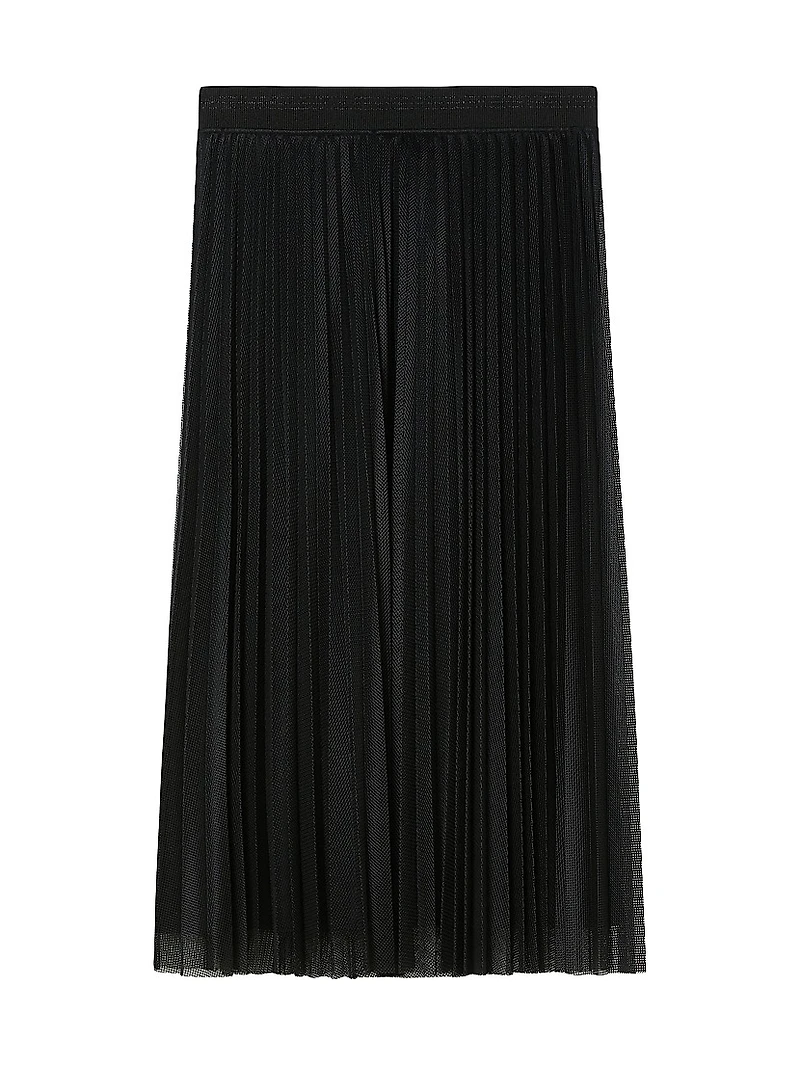 Long Pleated Mesh Skirt