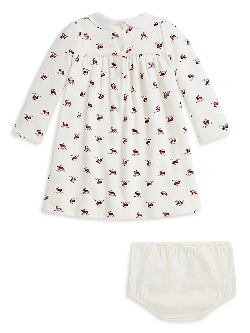 Baby Girl's 2-Piece Velour Knit Dress & Bloomers Set
