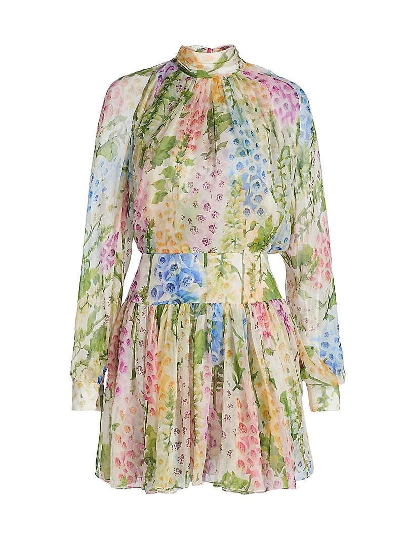Foxgloves Chiffon Long-Sleeve Minidress