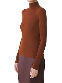 Merino Wool and Silk Turtleneck Sweater