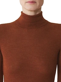 Merino Wool and Silk Turtleneck Sweater