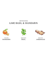 Lime Basil & Mandarin Body & Hand Lotion