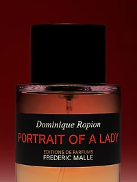 Portrait Of A Lady