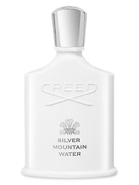 Silver Mountain Water