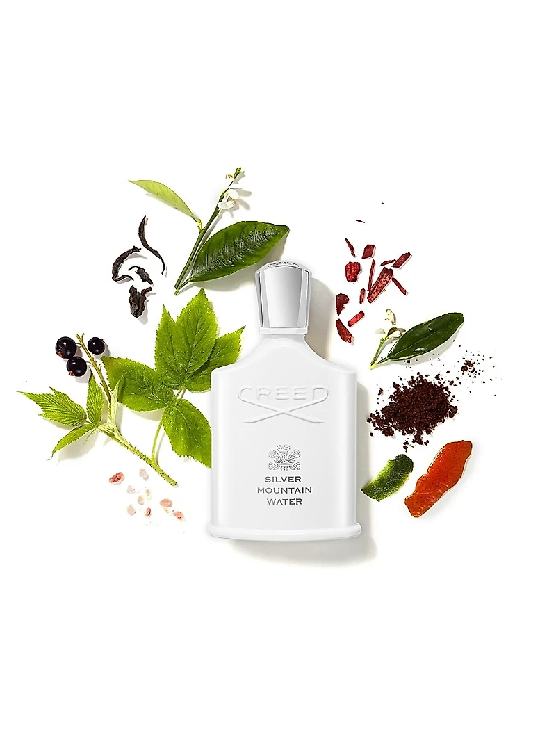 Silver Mountain Water