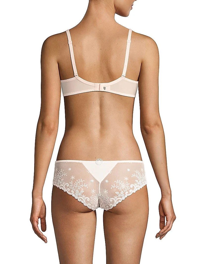 Delice Sheer Plunge Bra