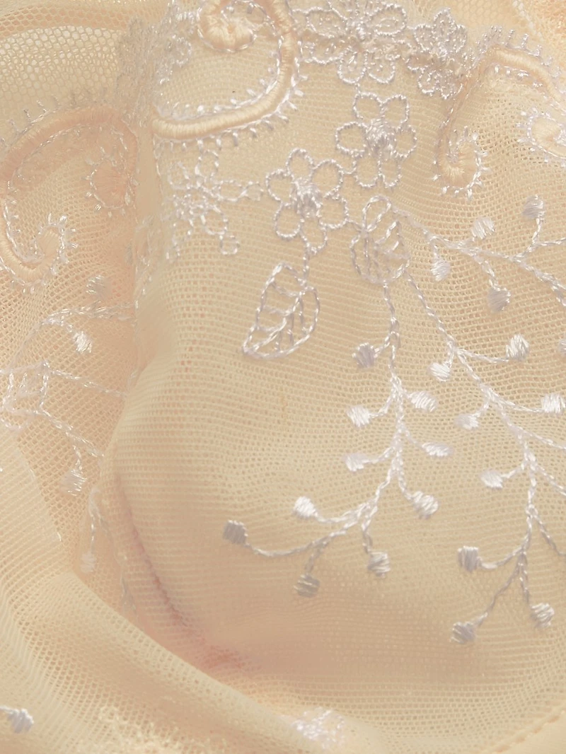 Delice Sheer Plunge Bra